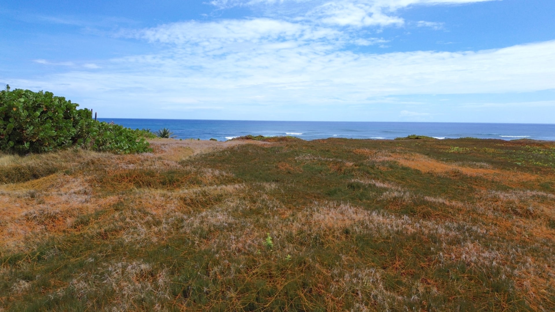 28 Acre St Lucia Beach Front Land For Sale easy to build on