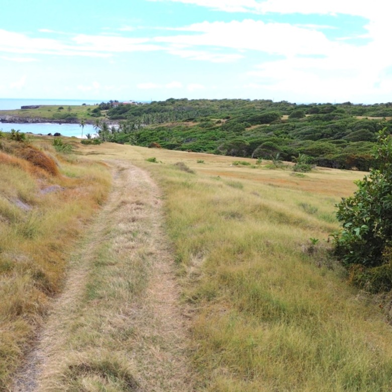 28 Acre St Lucia Beach Front Land For Sale dirt road