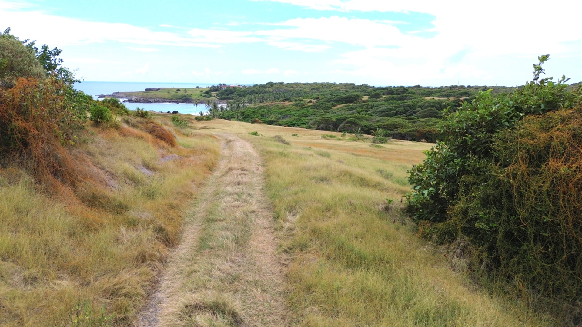 28 Acre St Lucia Beach Front Land For Sale dirt road