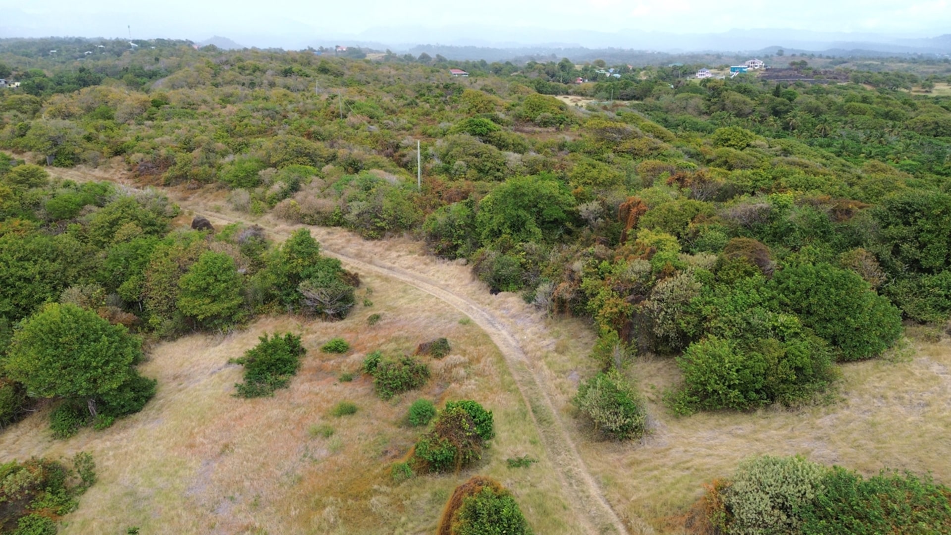 28 Acre St Lucia Beach Front Land For Sale road access