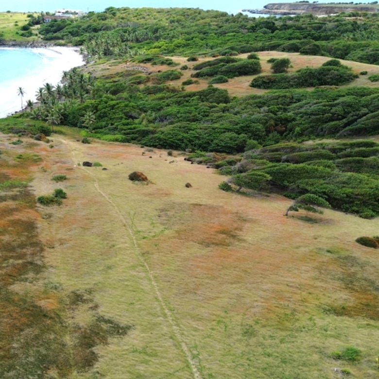28 Acre St Lucia Beach Front Land For Sale very flat