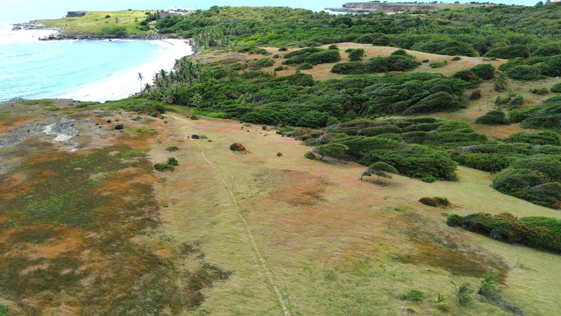 28 Acre St Lucia Beach Front Land For Sale very flat
