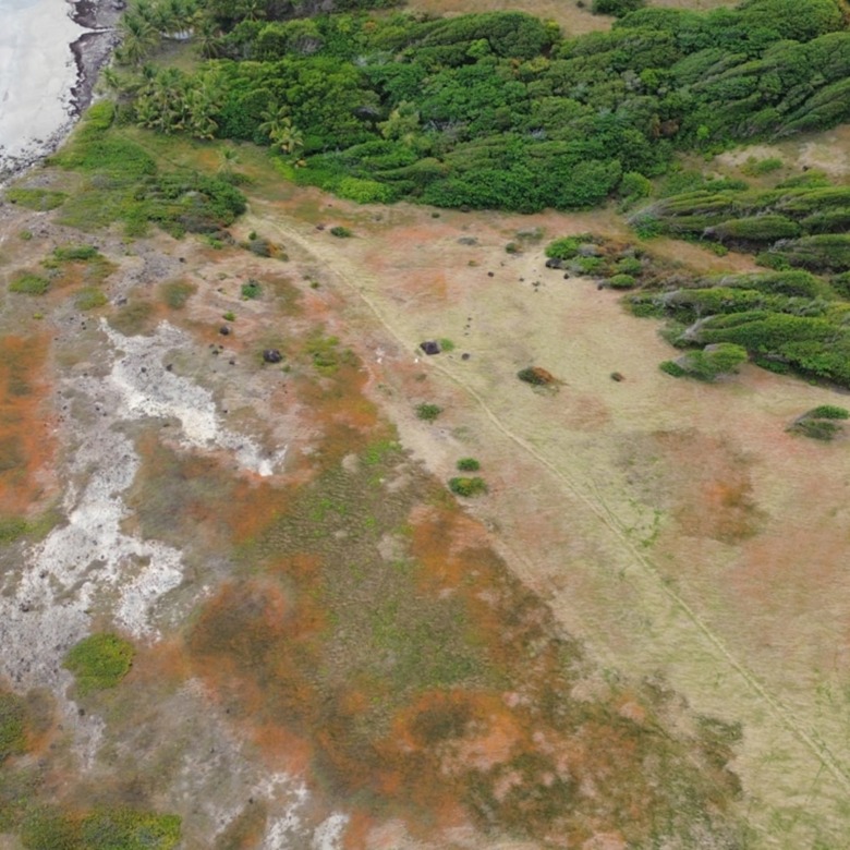 28 Acre St Lucia Beach Front Land For Sale sea views