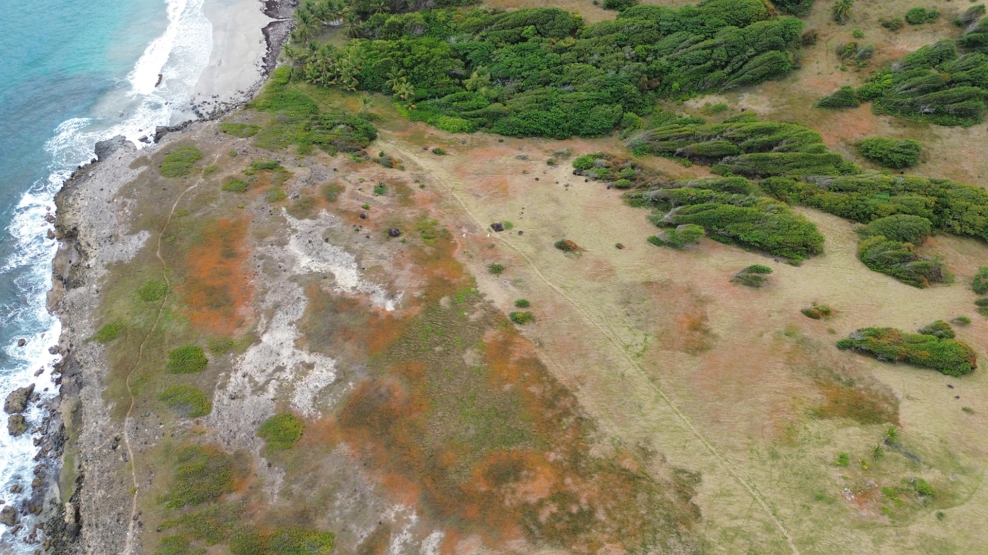 28 Acre St Lucia Beach Front Land For Sale sea views