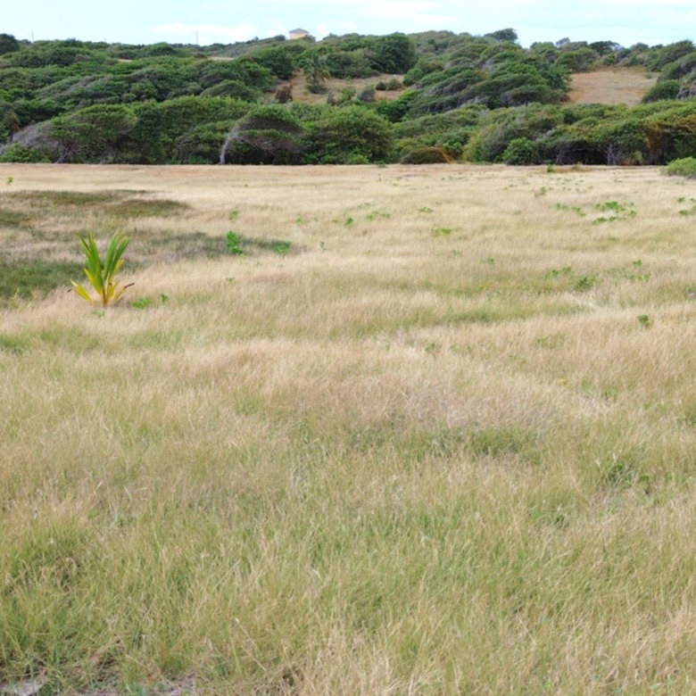 28 Acre St Lucia Beach Front Land For Sale investment opportunty