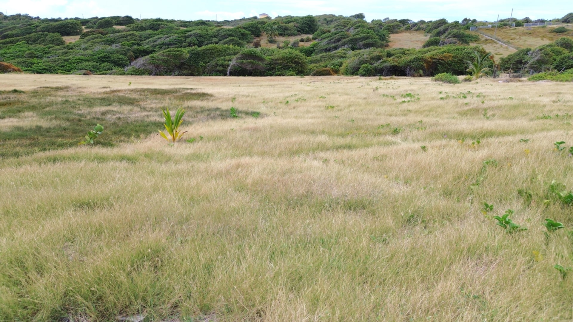 28 Acre St Lucia Beach Front Land For Sale investment opportunty