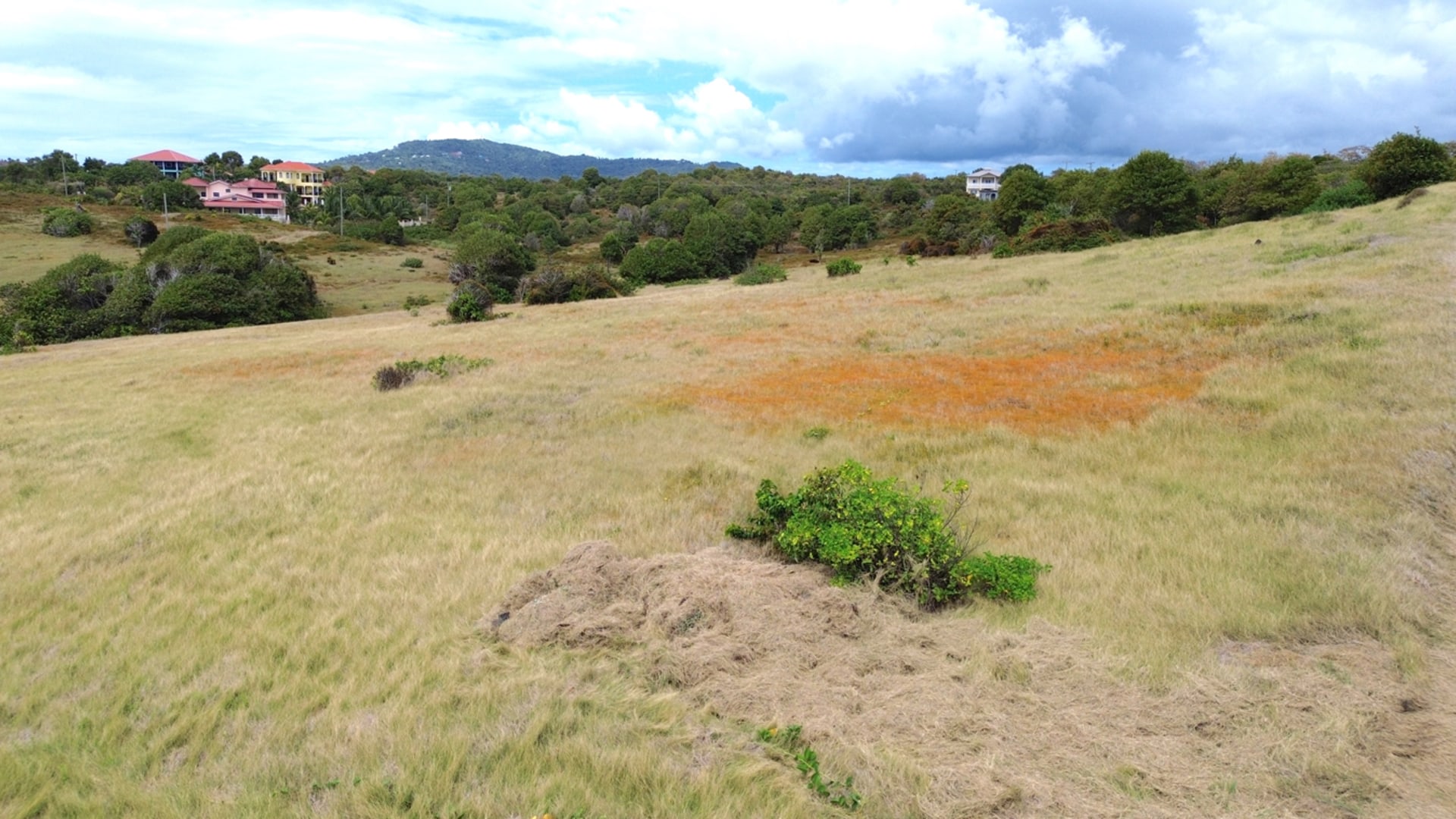 28 Acre St Lucia Beach Front Land For Sale gently slopes