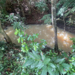 Land for Sale: Latille Falls micoud 3.5 Acres