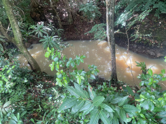 Land for Sale: Latille Falls micoud 3.5 Acres