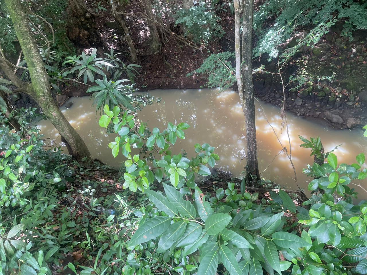 Land For Sale: Latille Falls 3.5 Acres