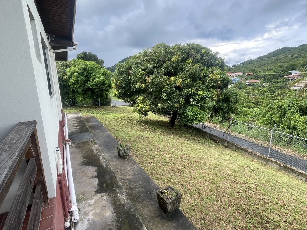 IMG_0560 Beausejour st lucia house for sale mango tree