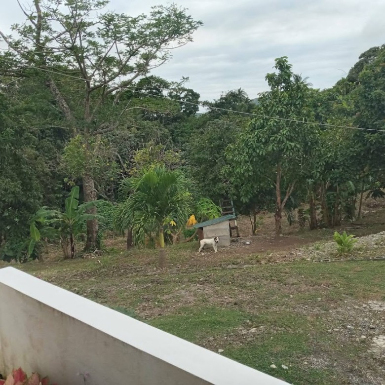 House for Sale in St Lucia Augier