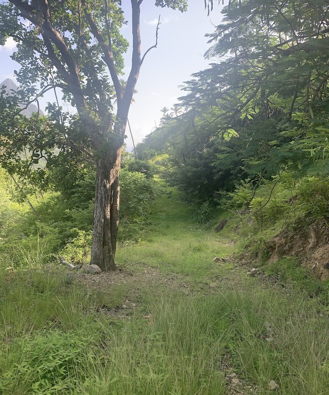 st lucia land for sale la haut plantation soufriere