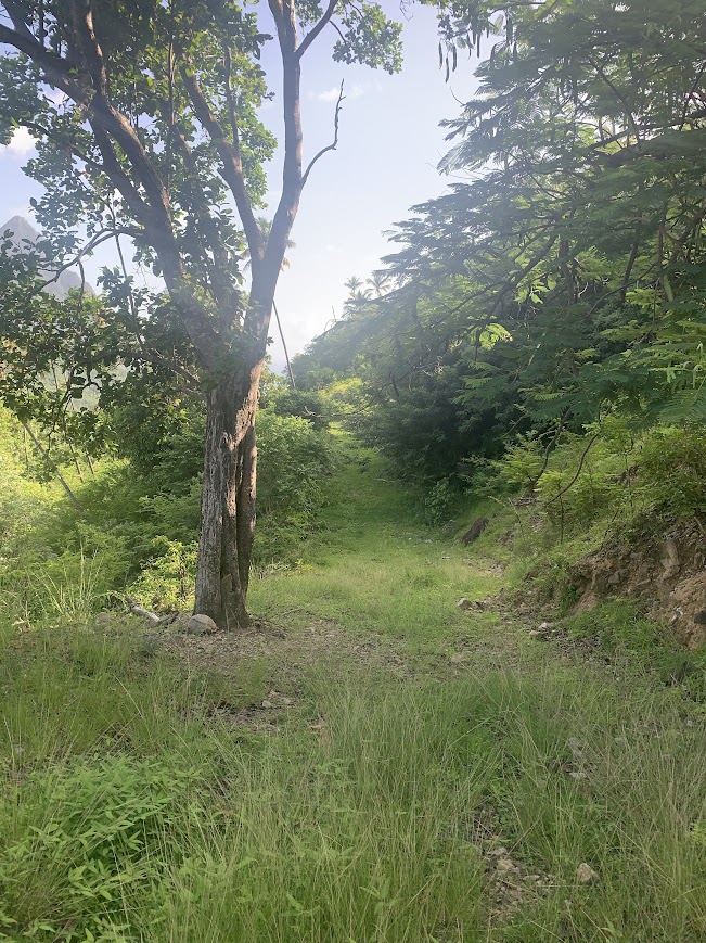 st lucia land for sale la haut plantation soufriere