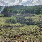 Massive 30,000 sq ft Lot in Belle Vue (Cap Estate) – Subdividing Possible
