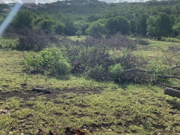 Massive 30,000 sq ft Lot in Belle Vue (Cap Estate) – Subdividing Possible