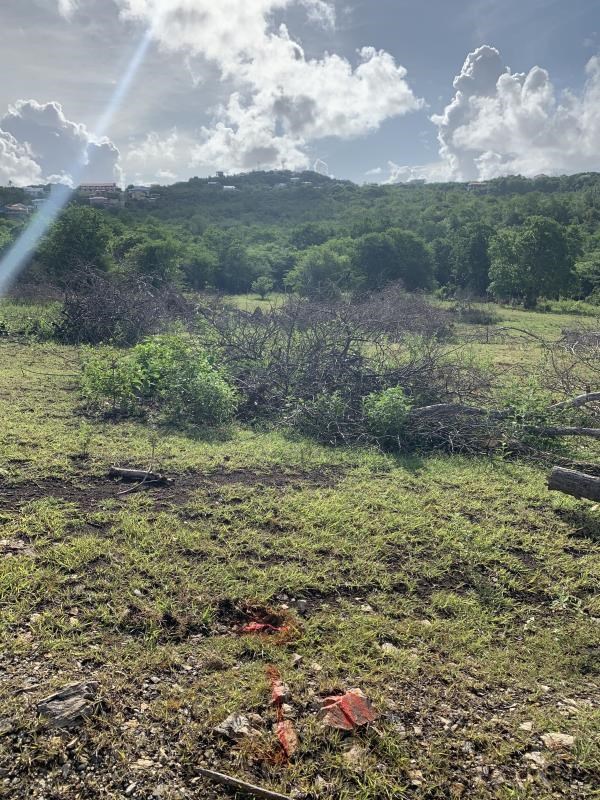 Massive 30,000 sq ft Lot in Belle Vue (Cap Estate) – Subdividing Possible