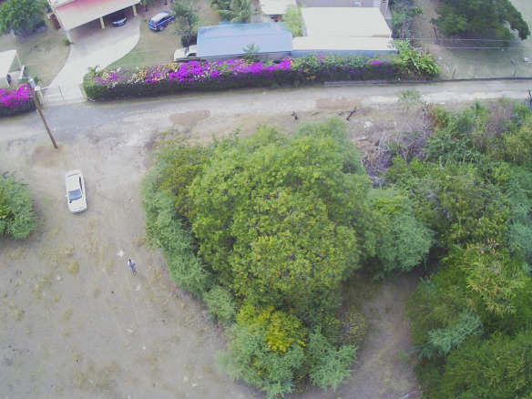 Land For Sale Near Belle Vue cap Estate