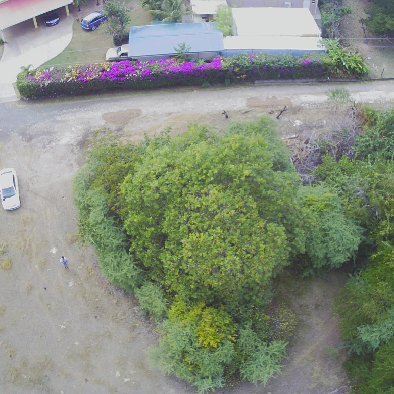Land For Sale In Belle Vue