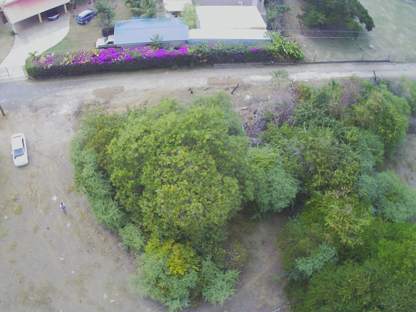 Land For Sale In BelleVue Cap Estate 30, 987 S.F
