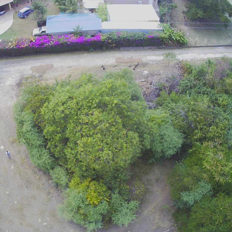 Land For Sale In Belle Vue 30,987 SF