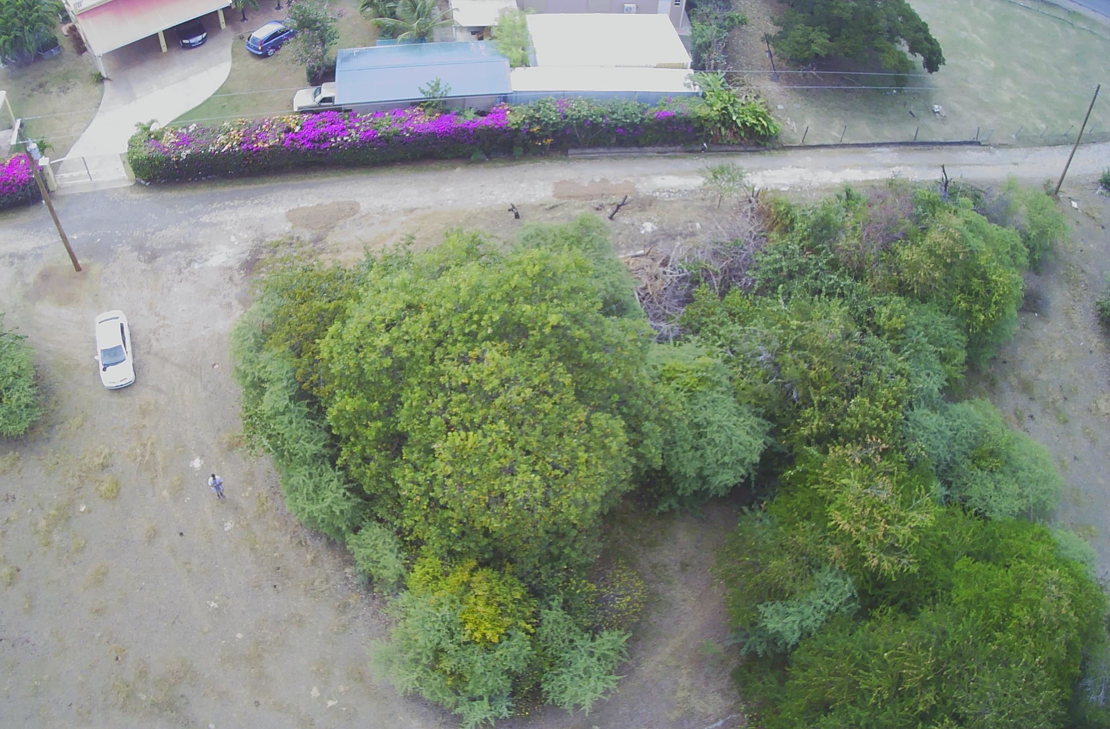 Land For Sale In BelleVue Cap Estate 30, 987 S.F