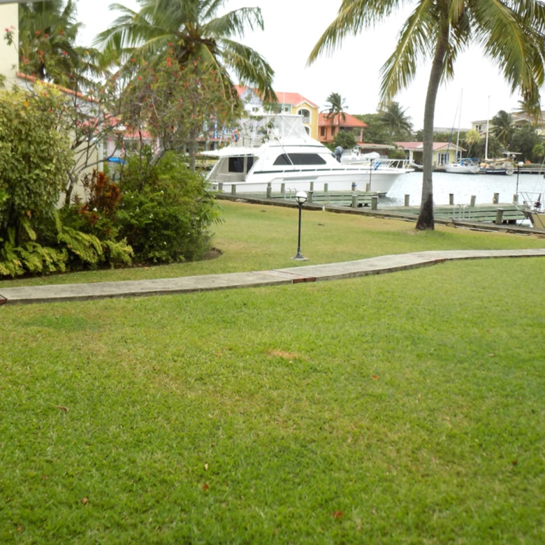 St. Lucia Real Estate Rentals in 2024