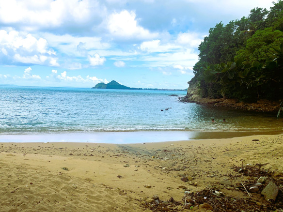 Beachfront Property For Sale In St. Lucia caribbean