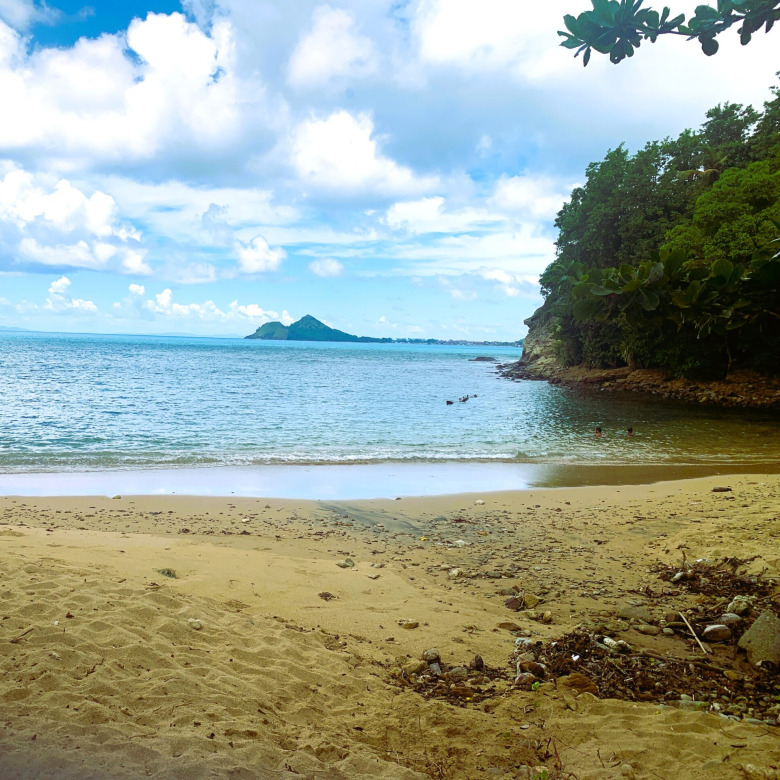 Beachfront Property For Sale In St. Lucia