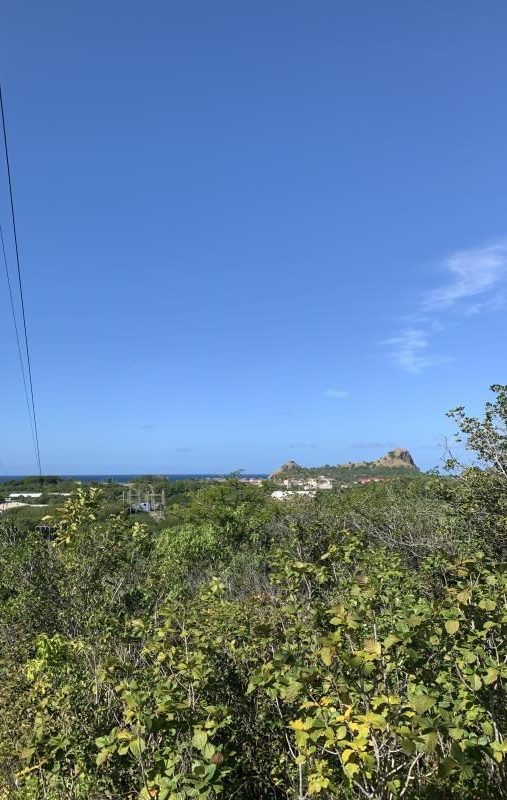 Bellvue_-_on_the_hill-2 st lucia real estate 10 Acres Of Land For Sale In Belle Vue view