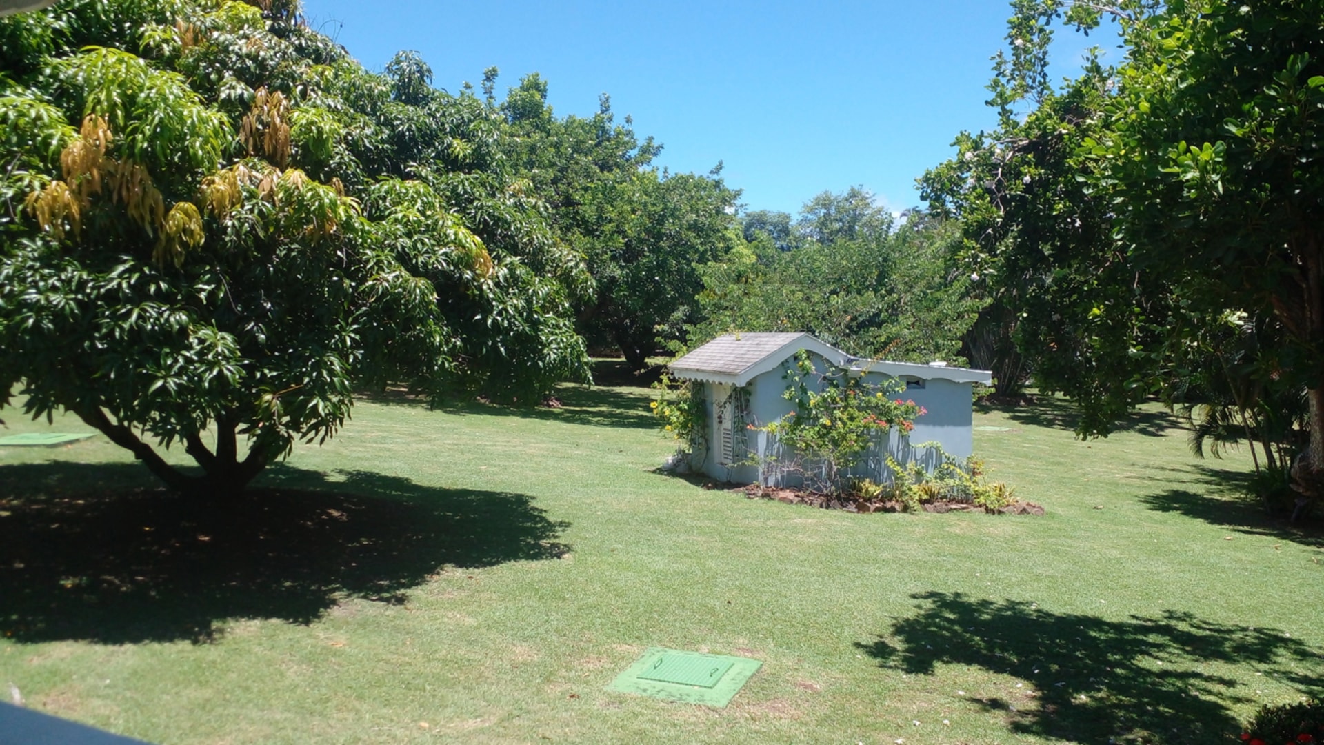 st lucia real estate HIBISCUS 2 AT GATE PARK FOR RENT yard