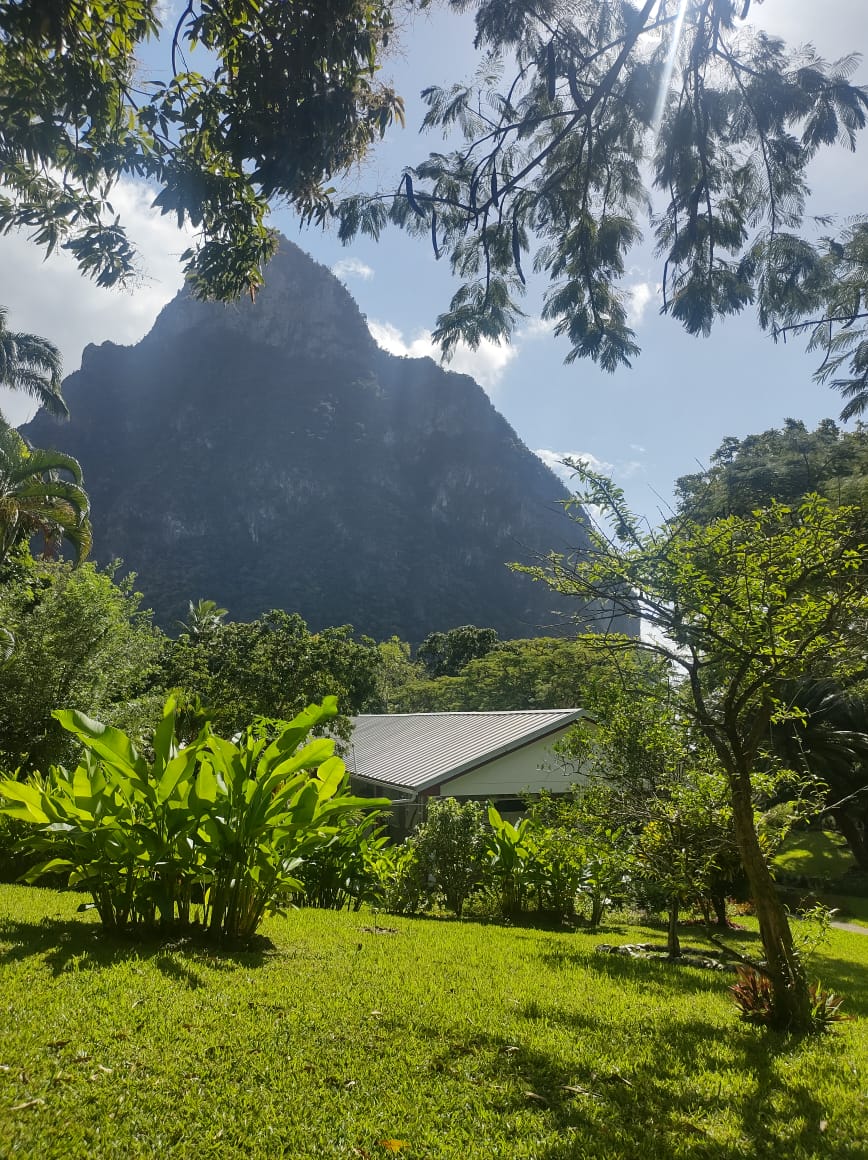 St Lucia real estate Luxury Eco Property St Lucia