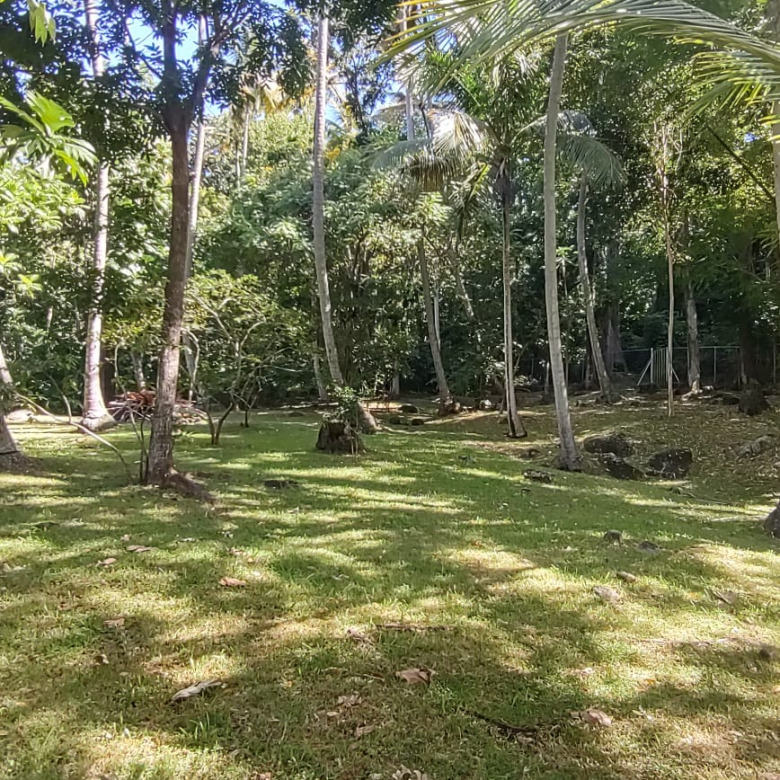 St Lucia real estate Luxury Eco Property Soufriere St Lucia for sale palms