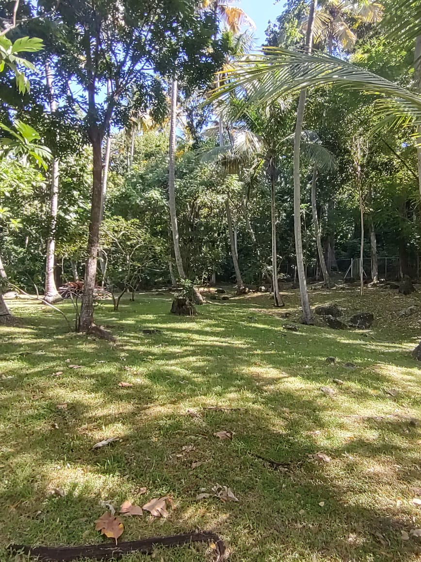 St Lucia real estate Luxury Eco Property Soufriere St Lucia for sale palms
