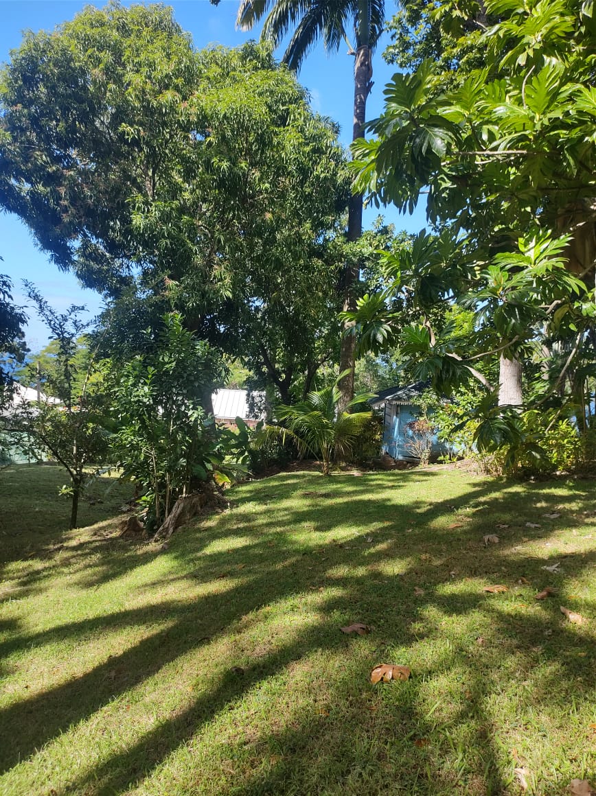 St Lucia real estate Luxury Eco Property Soufriere St Lucia for sale large lawn