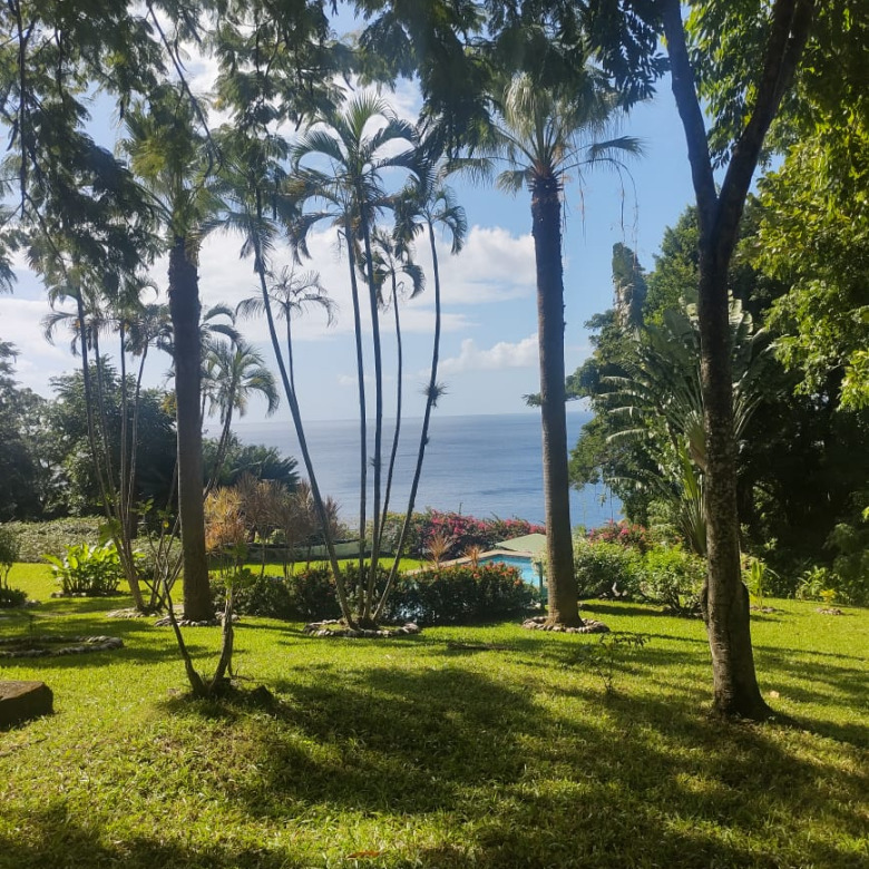 St Lucia real estate Luxury Eco Property Soufriere St Lucia for sale plams view