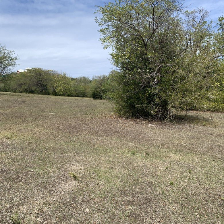 Land For Sale In Belle Vue