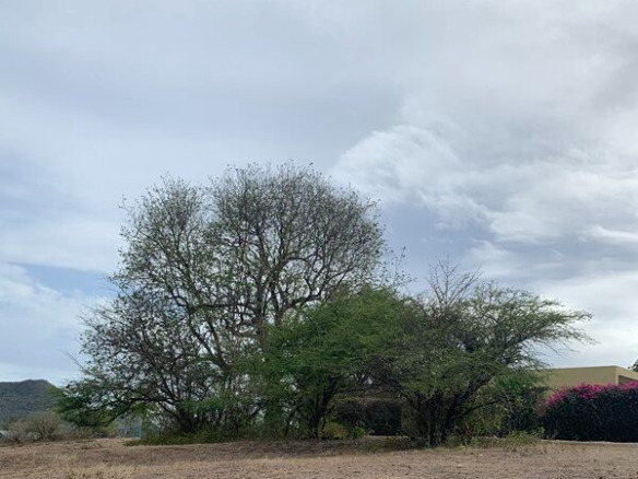 st lucia real estate Land For Sale In BElle Vue 11000 SF