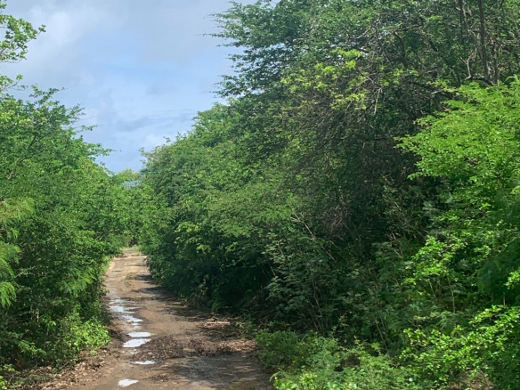 Land For Sale In Massade Belle Vue