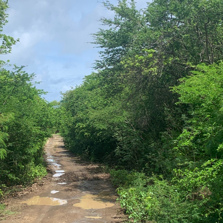 Land For Sale In Massade Belle Vue 1.75 Acres