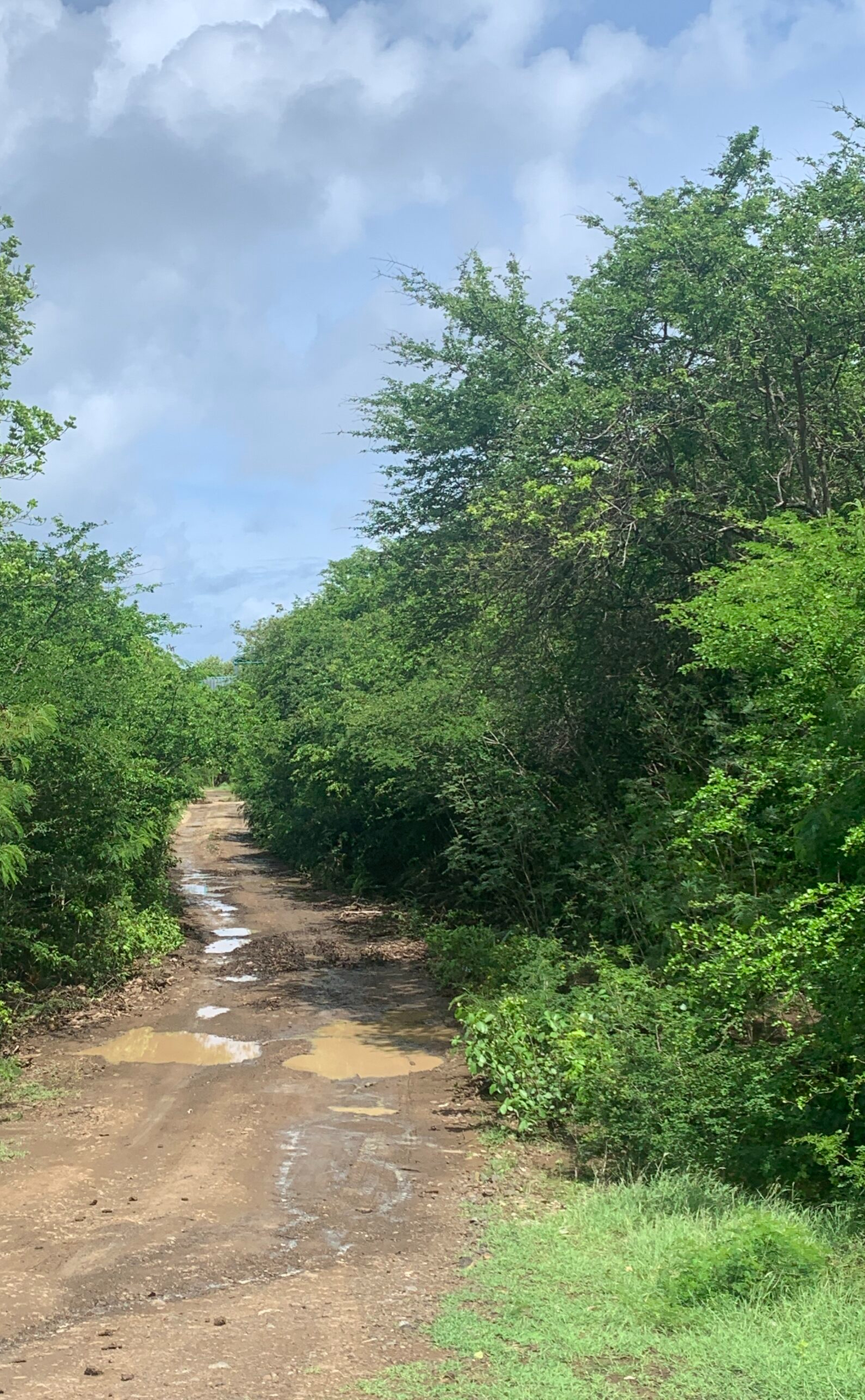 IMG_1535-1-scaled Land For Sale In Massade Belle Vue