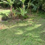 St lucia land for sale in soufriere piton bananas