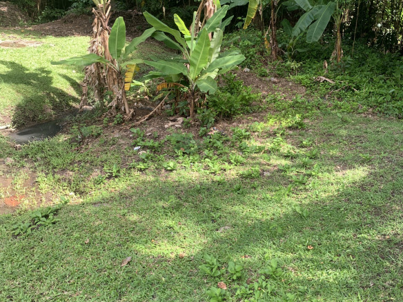 St lucia land for sale in soufriere piton bananas