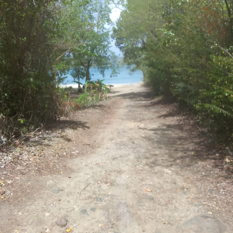 st lucia real estate Land For Sale In Marisule Castries st lucia driveway