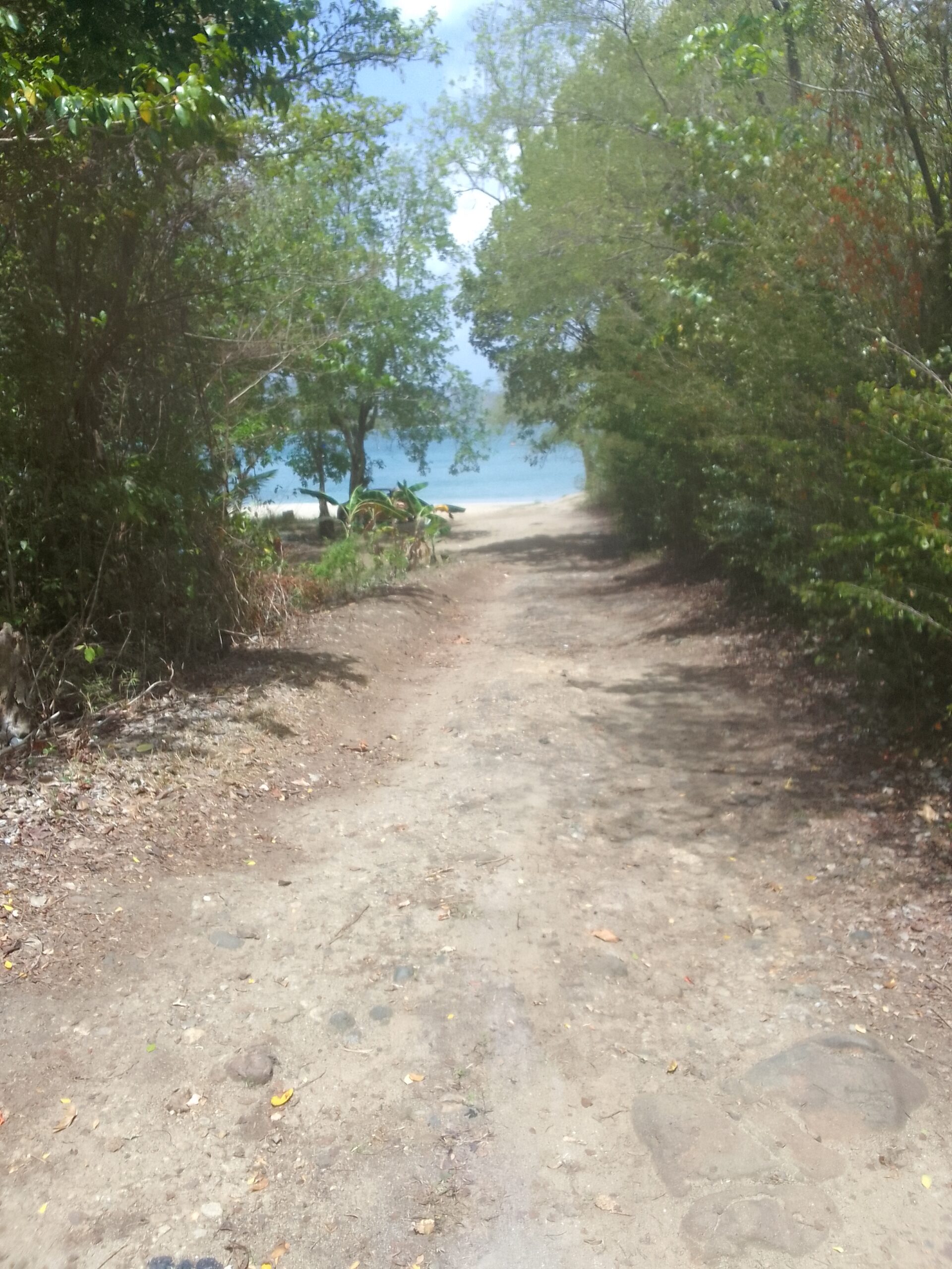 st lucia real estate Land For Sale In Marisule Castries st lucia driveway