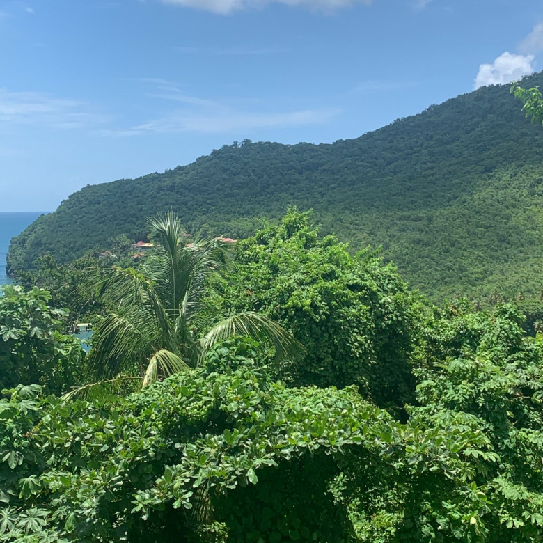 Land For Sale In Marigot Bay