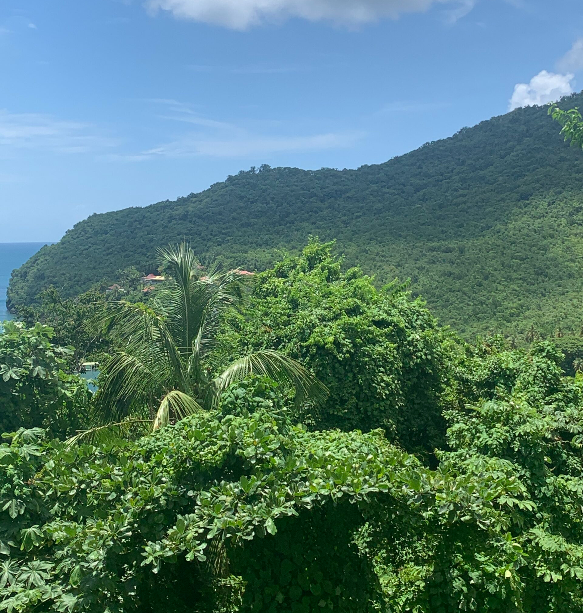 Land For Sale In Marigot Bay