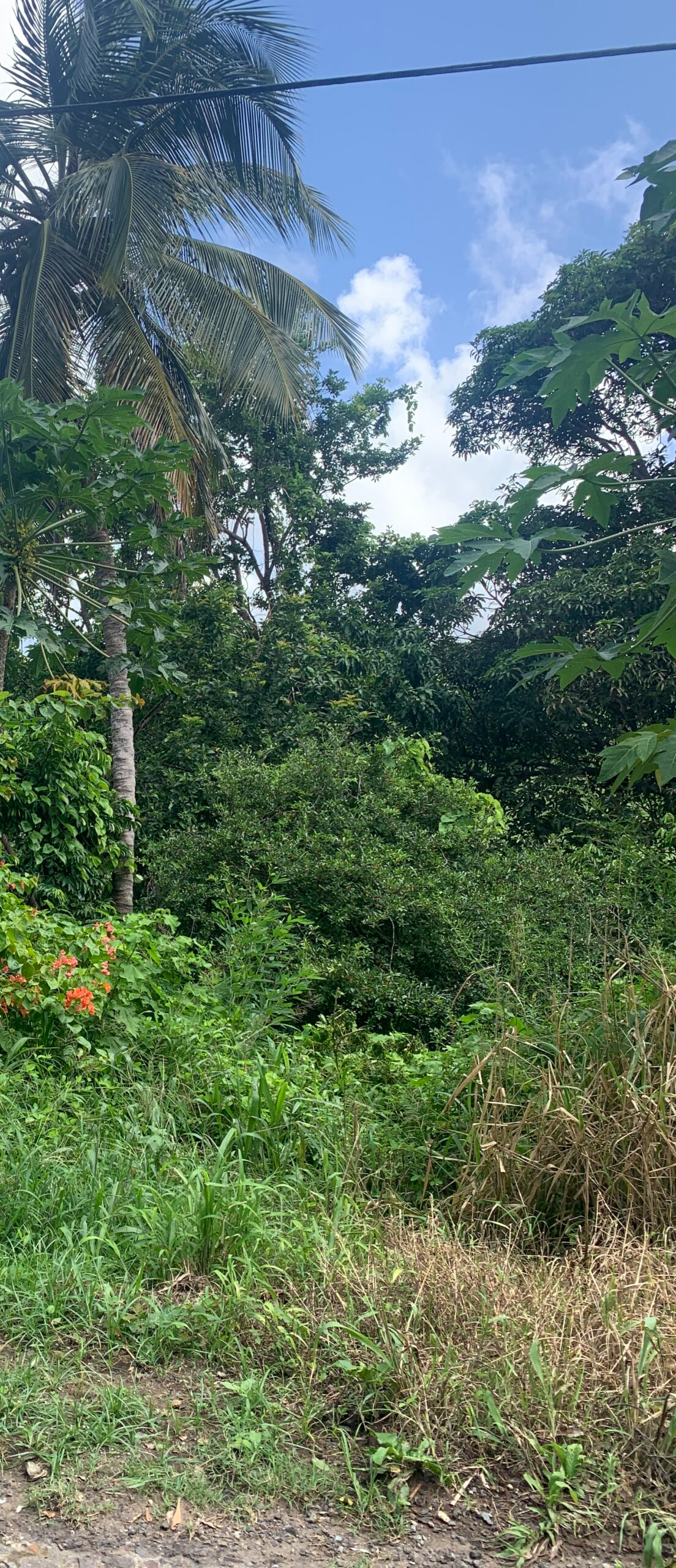 Land For Sale In Desrameaux Monchy