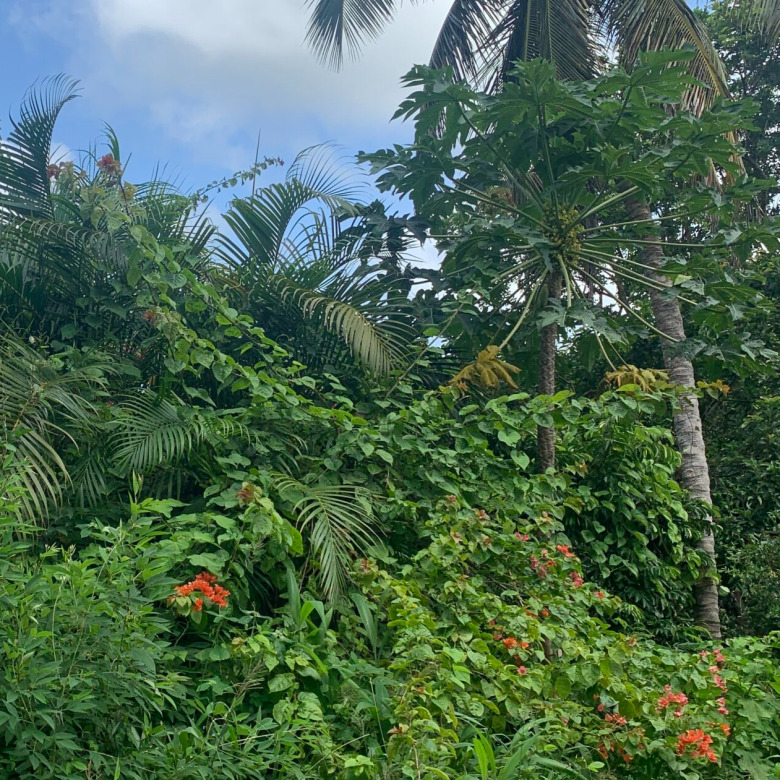 Land For Sale In Desrameaux Monchy