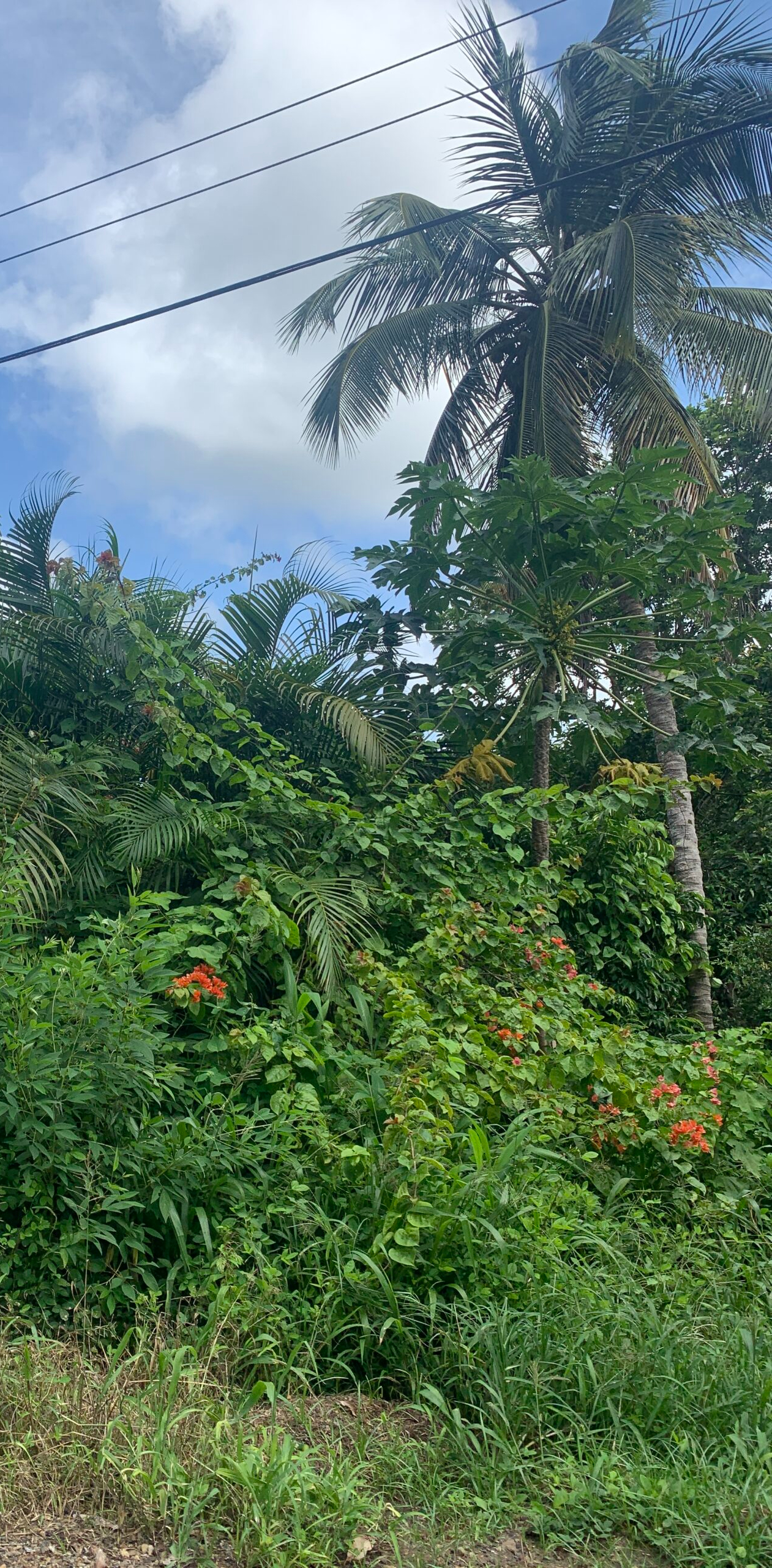 Land For Sale In Desrameaux Monchy